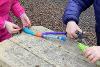 Spring sticks